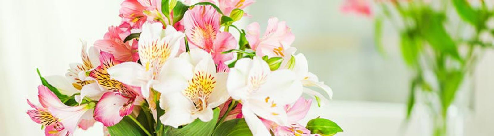 Un bouquet d'alstroemeria